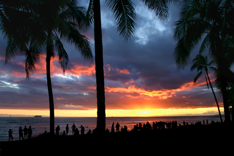 Waikiki.com  8