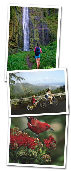 Bike, Hike, Sail and Snorkel Adventure Oahu