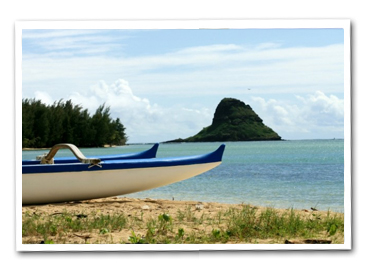 Zipline Adventure Tour Kualoa Oahu