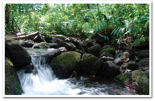 Bike, Hike, Sail and Snorkel Adventure Oahu