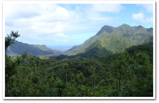 Bike, Hike, Sail and Snorkel Adventure Oahu