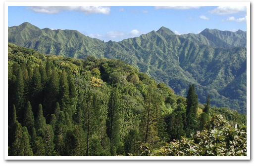 Bike, Hike, Sail and Snorkel Adventure Oahu