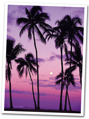 Beautiful Sunset in Waikiki