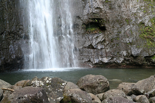 Waterfall/Rainforest Shuttle Service 808-944-2758