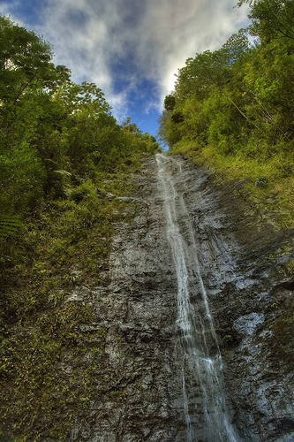 Waterfall/Rainforest Shuttle Service 808-944-2758